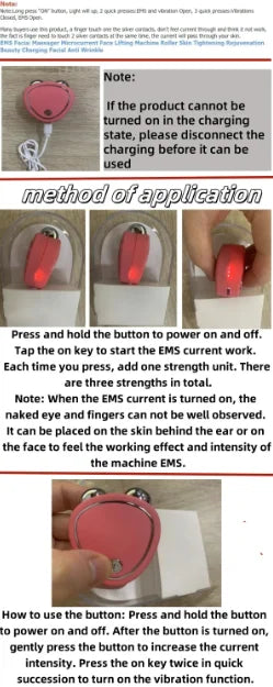 \EMS Face Lifting Machine | Microcurrent Roller for Skin Rejuvenation