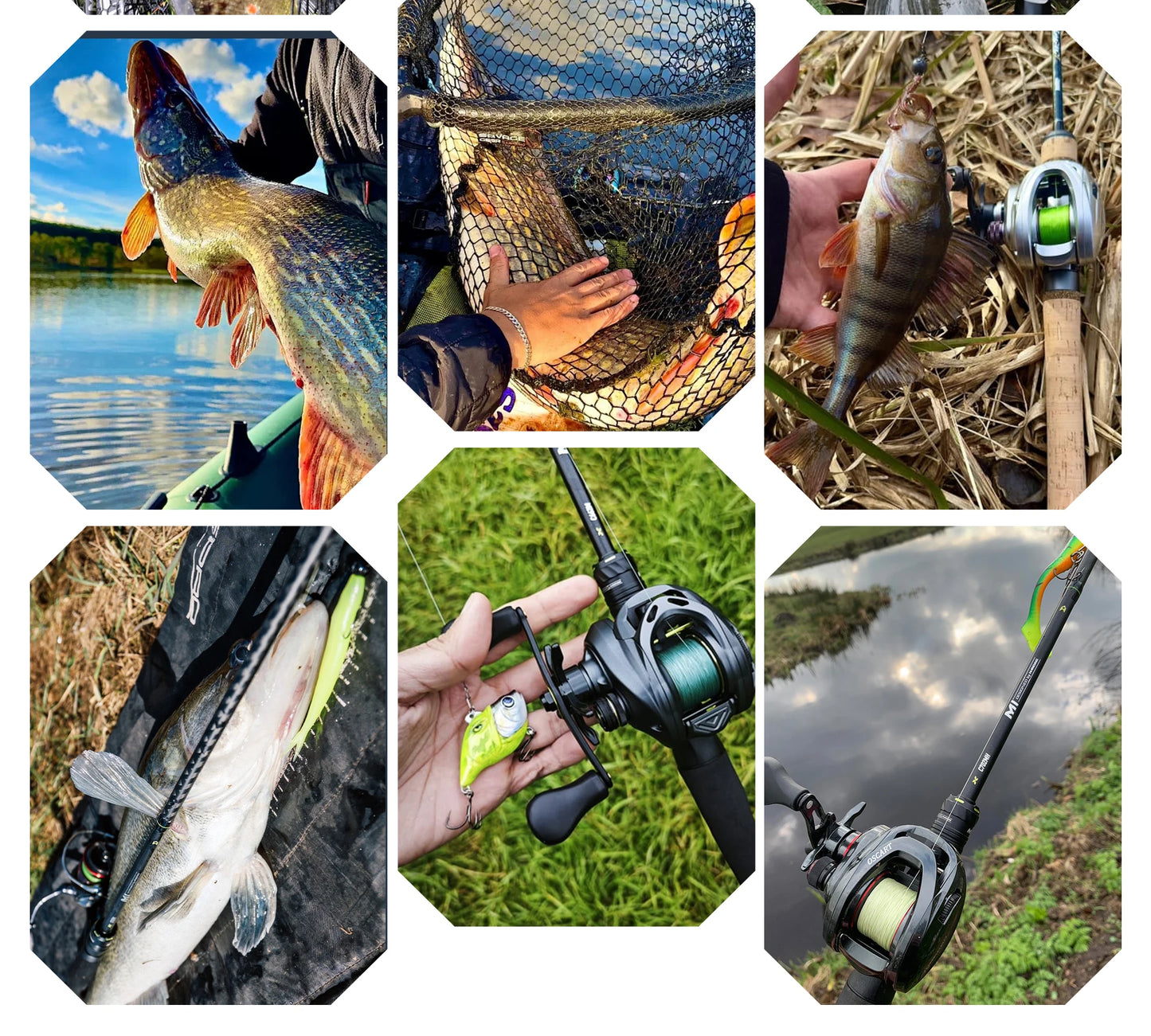 Premium HANDING M1 Spinning Reel – Graphite Frame, 12kg Drag, 9+1 Bearings, 5.2:1 Gear Ratio – Versatile All-Purpose Fishing Reel