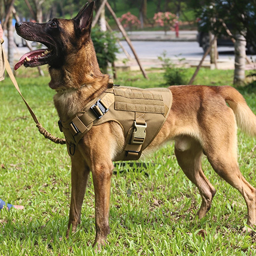 Premium Large Dog Harness and Leash Set for German Shepherds and Malinois – Adjustable Training and Walking Vest with Collar for Medium and Large Dogs