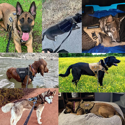 Premium Large Dog Harness and Leash Set for German Shepherds and Malinois – Adjustable Training and Walking Vest with Collar for Medium and Large Dogs